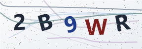 Güvenlik kodu