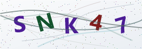 Güvenlik kodu