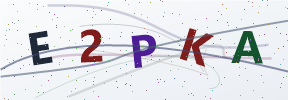 Güvenlik kodu