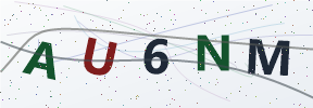 Güvenlik kodu