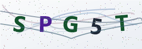 Güvenlik kodu