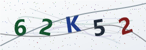 Güvenlik kodu