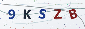 Güvenlik kodu