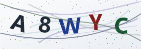 Güvenlik kodu