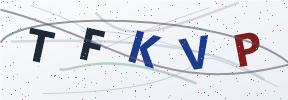 Güvenlik kodu