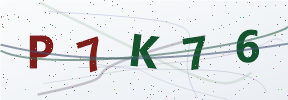Güvenlik kodu