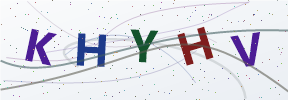 Güvenlik kodu