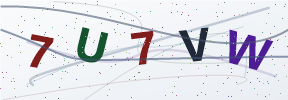 Güvenlik kodu